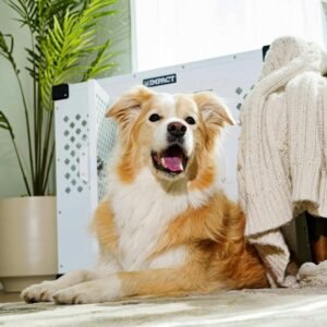 Curso de Pet Shop